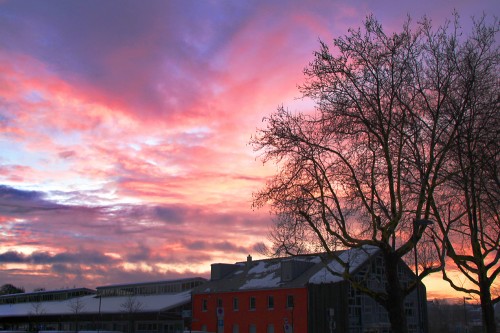 Museum Plagiarius im Sonnenaufgang