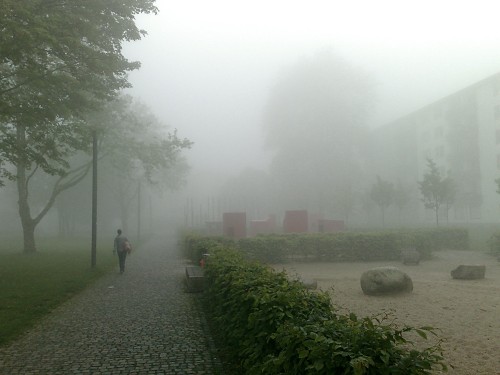 Südpark im Nebel