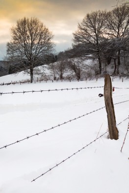 Winterlandschaft am Bertramsmühler Bach in Solingen