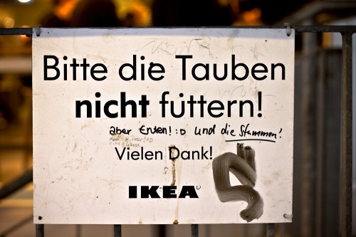 Bitte die Tauben nicht füttern