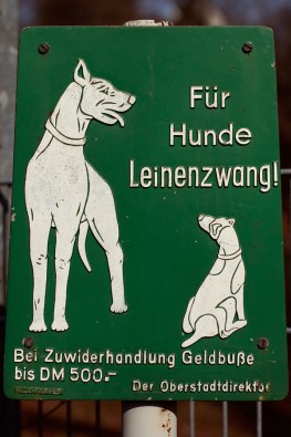 Dreibeiniger Hund